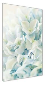 Vertikální Fotoobraz na skle Květ hortensie osv-85998494