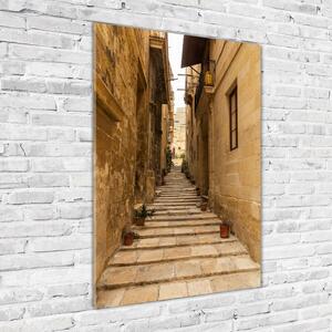Vertikální Fotoobraz na skle Uličky na Maltě osv-86643862