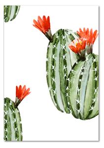 Vertikální Foto-obraz fotografie na skle Kaktusy osv-86911813