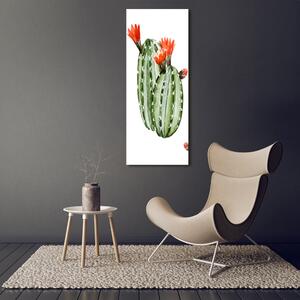 Vertikální Foto-obraz fotografie na skle Kaktusy osv-86911813