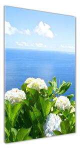 Vertikální Fotoobraz na skle Hortenzie moře osv-87726143