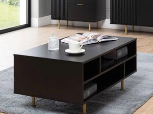 Konferenční stolek IREDELL - zlatý / matný černý