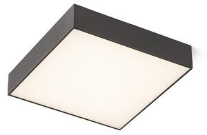 LARISA LED přisazené svítidlo, technická černá - RED - DESIGN RENDL