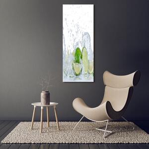 Vertikální Moderní obraz canvas na rámu Limetky ocv-88385364