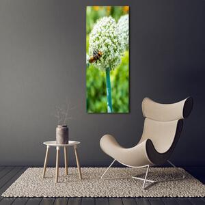 Vertikální Foto obraz na plátně Květy česneku ocv-88554833