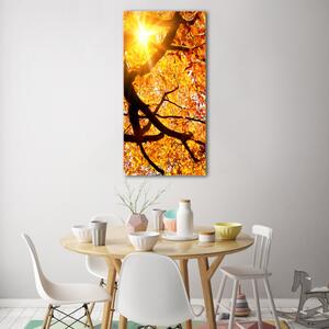 Vertikální Fotoobraz na skle Podzimní strom osv-89060594