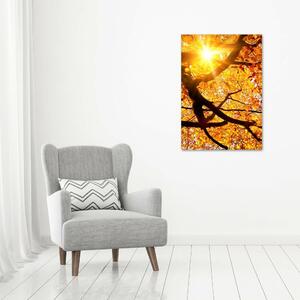 Vertikální Fotoobraz na skle Podzimní strom osv-89060594