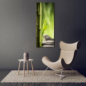 Vertikální Moderní skleněný obraz z fotografie Bambus osv-89101727