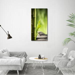 Vertikální Moderní skleněný obraz z fotografie Bambus osv-89101727