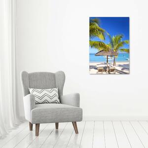 Vertikální Foto obraz skleněný svislý Tropická pláž osv-89713117