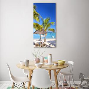 Vertikální Foto obraz skleněný svislý Tropická pláž osv-89713117