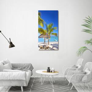 Vertikální Foto obraz na plátně Tropická pláž ocv-89713117