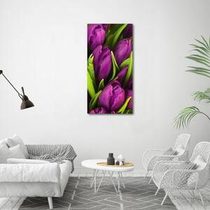 Vertikální Foto obraz na plátně Fialové tulipány ocv-89975331