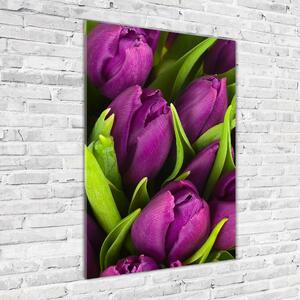 Vertikální Fotoobraz na skle Fialové tulipány osv-89975331