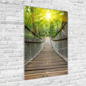 Vertikální Foto obraz sklo tvrzené Visací most osv-90157224