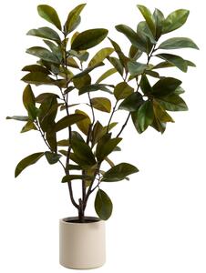 --25 % Dny MOMENTI– Kave Home Umělá rostlina Magnolia 160 cm