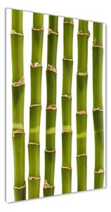 Vertikální Moderní skleněný obraz z fotografie Bambus osv-90591084