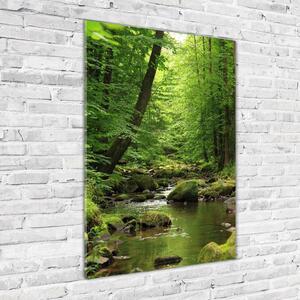 Vertikální Foto obraz sklo tvrzené Řeka v lese osv-90680304