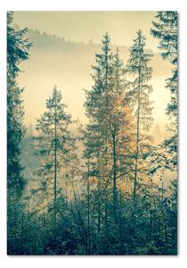 Vertikální Foto obraz fotografie na skle Mlha nad lesem osv-90691876