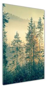 Vertikální Foto obraz fotografie na skle Mlha nad lesem osv-90691876