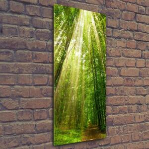 Vertikální Fotoobraz na skle Stezka v lese osv-91261550