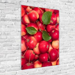 Vertikální Fotoobraz na skle Červená jablka osv-91288454
