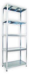 Kovový regál Biedrax 35 x 90 x 210 cm, pozinkovaný - 5 polic pozink