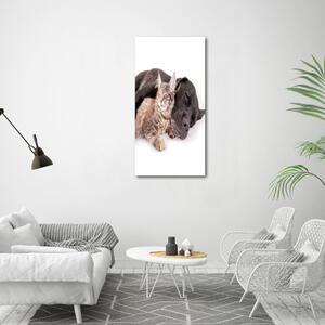 Vertikální Vertikální Foto obraz na plátně do obýváku Pes a kočka ocv-91792125