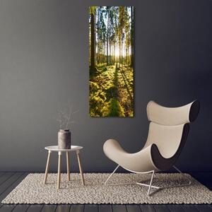 Vertikální Foto obraz sklo tvrzené Sosnový les osv-92027264