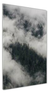 Vertikální Foto obraz skleněný svislý Mrak nad lesem osv-92103415