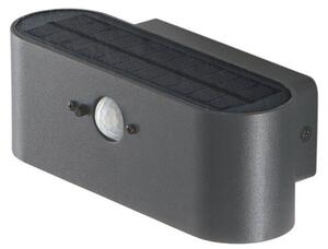 FAN LED-ALBERT-AP Solární nástěnné svítidlo, LED, ALBERT, antracit, senzor, 18.1 x 9.1 x 6.6 cm - FANEUROPE