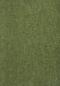 Lano - koberce a trávy Neušpinitelný kusový koberec Nano Smart 591 zelený - 200x290 cm