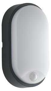FAN LED-SENSITIVE-ANT Venkovní svítidlo LED SENSITIVE antracit polykarbonát/PP 14 W 1600 lm 4000 K IP54 se senzorem 21,2x11,9x6,05 cm - FANEUROPE