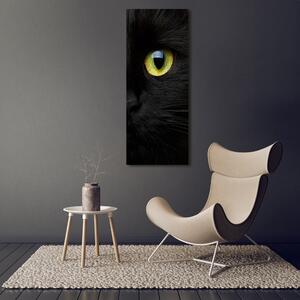 Vertikální Vertikální Foto obraz na plátně do obýváku Oči kočky ocv-94355723