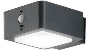 FAN LED-TED-AP Solární nástěnné svítidlo LED TED antracit hliník 3 W 300 lm 4000 K IP44 solární panel 7,5x7,3x14,3 cm - FANEUROPE