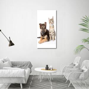 Vertikální Foto obraz sklo tvrzené Pes a kočka osv-94452483