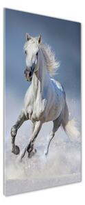 Vertikální Fotoobraz na skle Bílý kůň cval osv-95626475