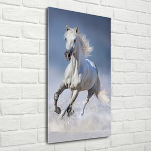 Vertikální Fotoobraz na skle Bílý kůň cval osv-95626475