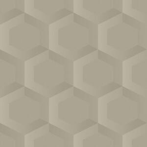 Vliesová tapeta na zeď, béžová, hexagony, 348019, 3D Reflections, Origin