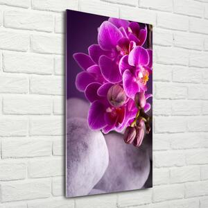 Vertikální Fotoobraz na skle Růžová orchidej osv-95985968