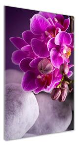 Vertikální Fotoobraz na skle Růžová orchidej osv-95985968
