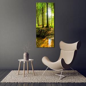 Vertikální Foto obraz skleněný svislý Pramen v lese osv-96124300