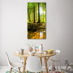 Vertikální Foto obraz skleněný svislý Pramen v lese osv-96124300