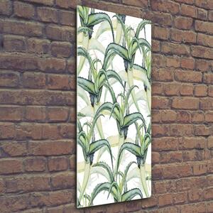Vertikální Fotoobraz skleněný na stěnu do obýváku Aloes osv-96215866