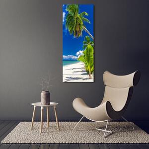 Vertikální Foto obraz skleněný svislý Tropická pláž osv-96597794