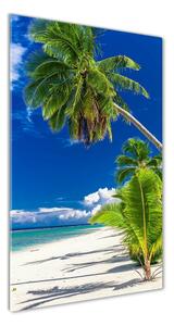Vertikální Foto obraz skleněný svislý Tropická pláž osv-96597794