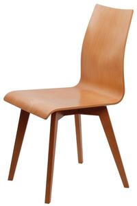 Dřevěná jídelní židle SASKIE – masiv, více barev