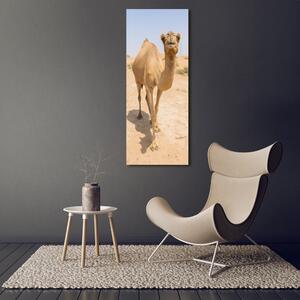 Vertikální Foto obraz na plátně Velbloud na poušti ocv-97157557