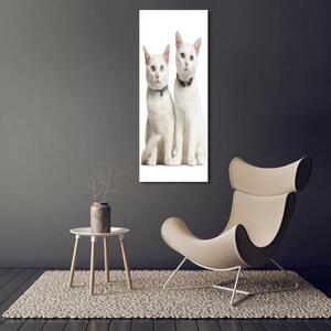 Vertikální Foto obraz fotografie na skle Dvě bílé kočky osv-97350767