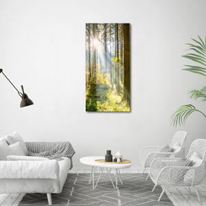 Vertikální Foto obraz canvas Slunce v lese ocv-98252702